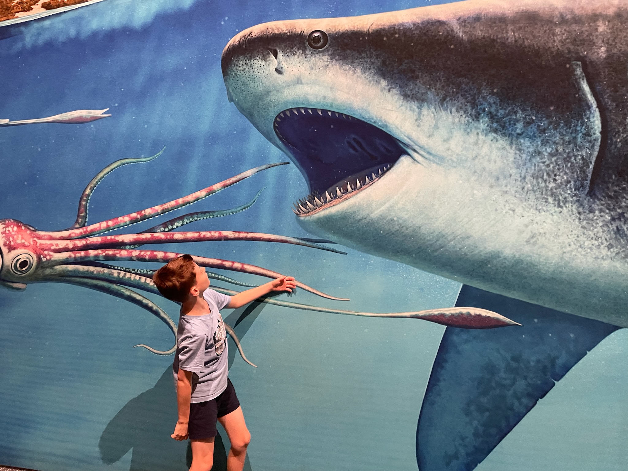 NDIS Short Term Respite for children - Reading