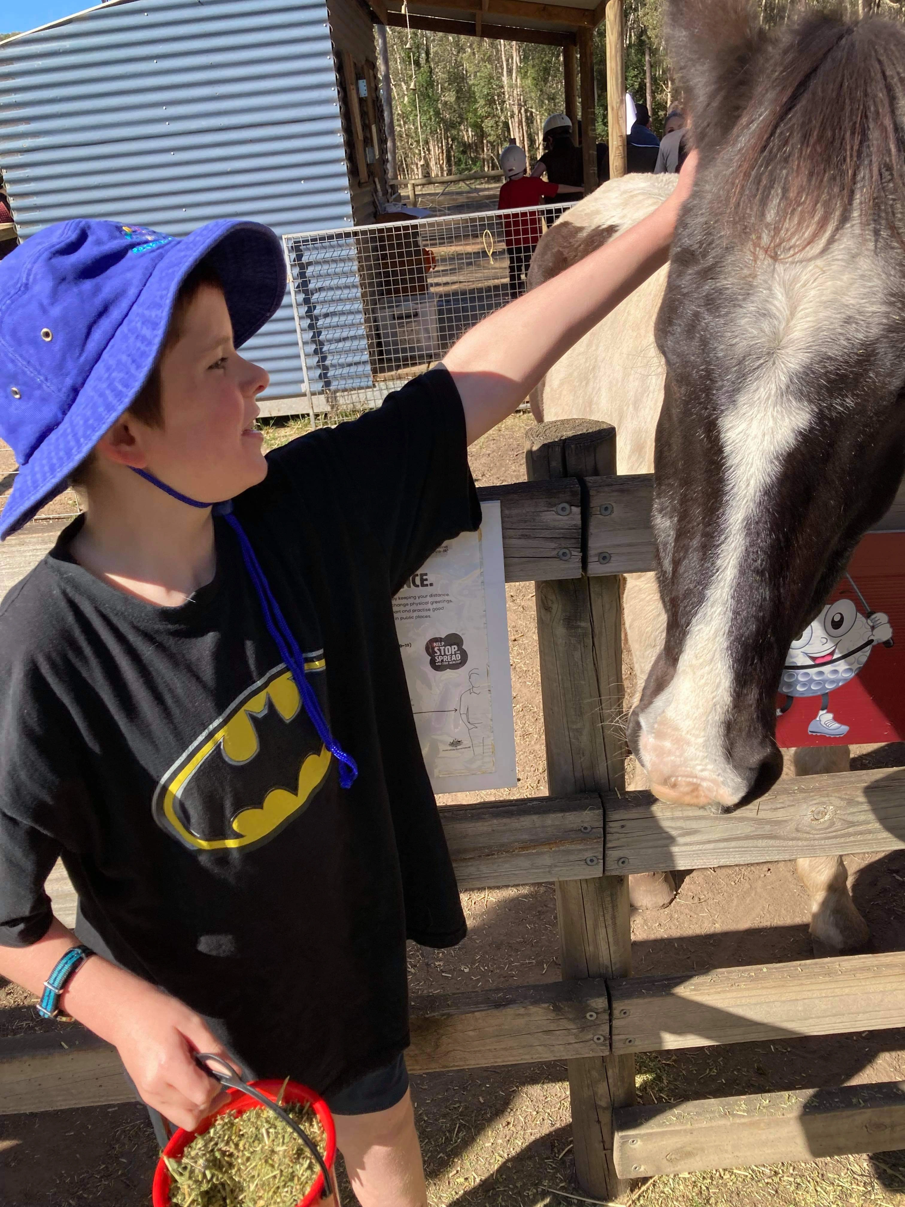 NDIS Short Term Accopmmodation - Weekend Care - Equine Therapy for Children with Disabilities