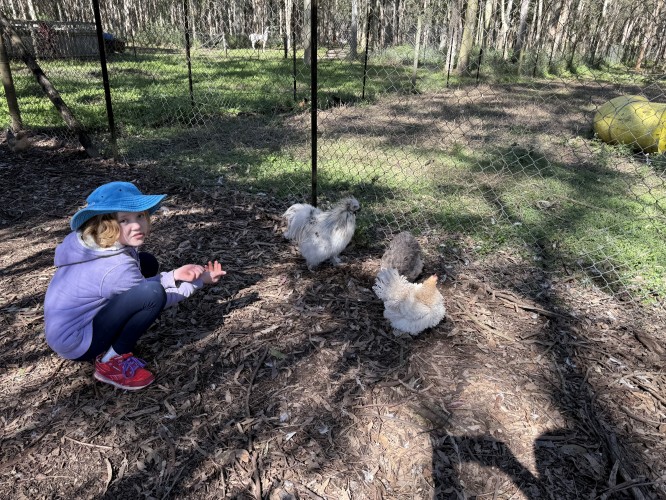 Space Adventures and Farmyard Friends
