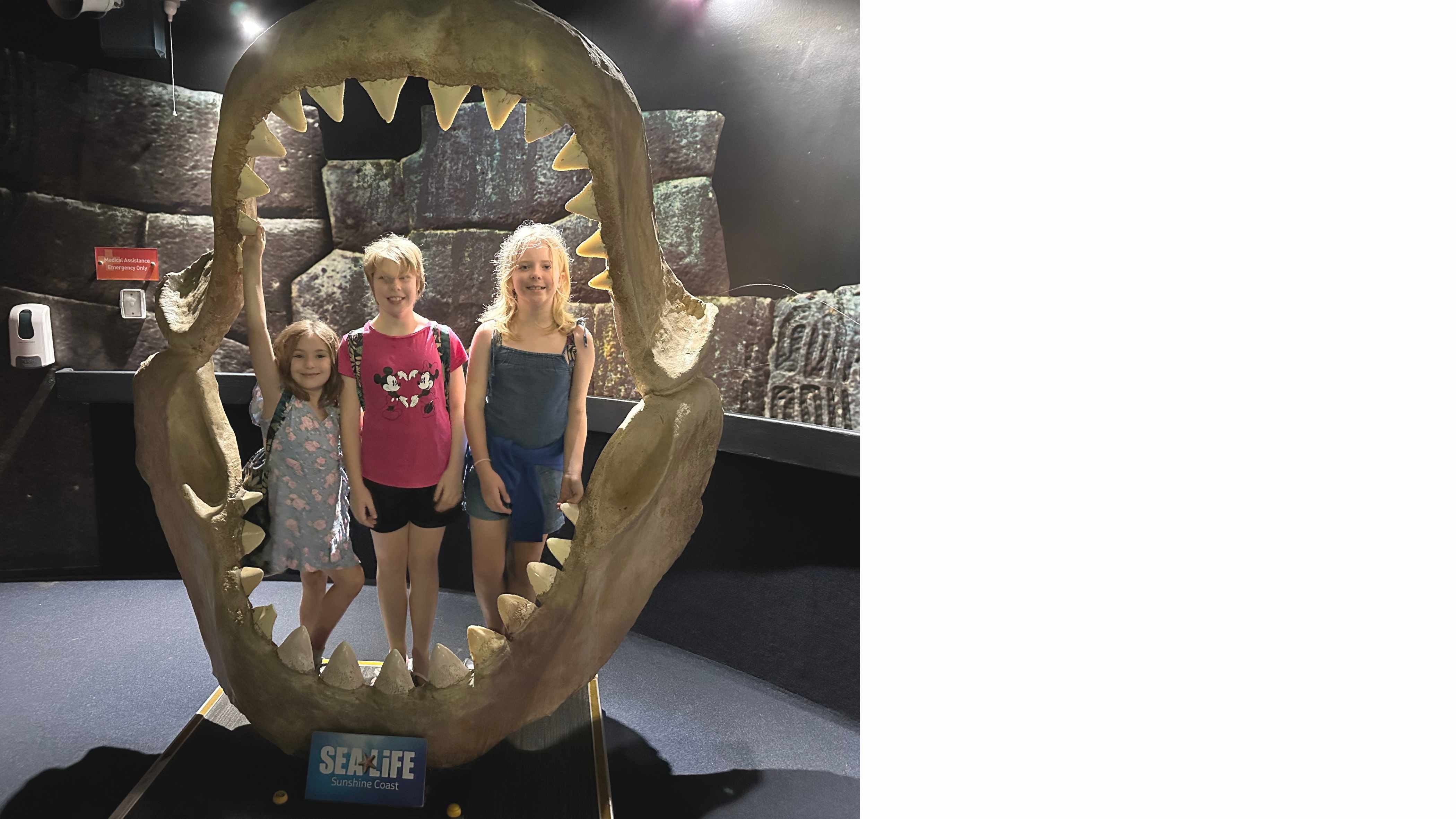 This Week's Adventures: From Neverland to the Deep Sea!